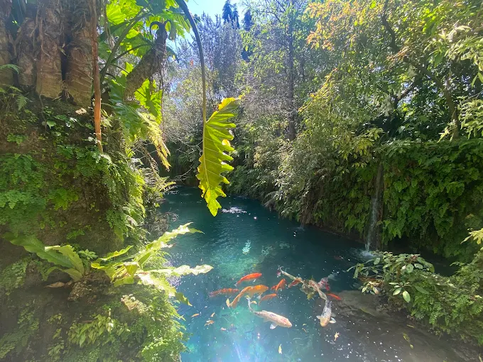 Patch of Heaven Sanctuary