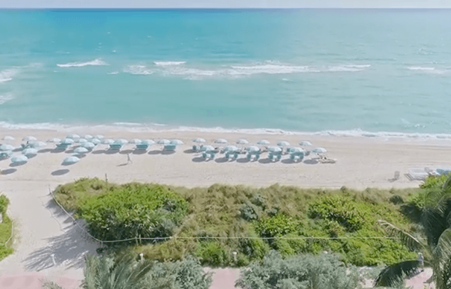 Carillon Miami Wellness Resort™